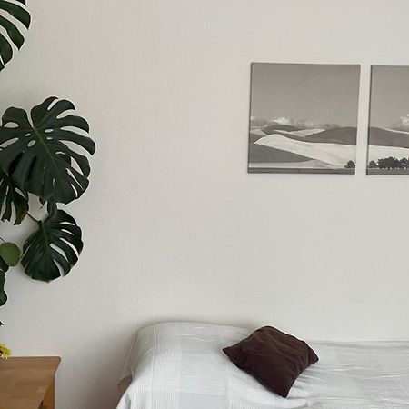 Fewo Oberhausen-Alstaden Oberhausen  Extérieur photo